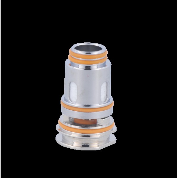 GeekVape P Series Heads (5 Stück pro Packung)